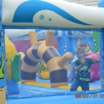 Obrazek 11 Obrazek 11