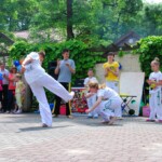 Obrazek 11 Obrazek 11