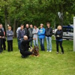 Obrazek 27 Obrazek 27