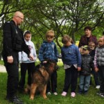 Obrazek 28 Obrazek 28